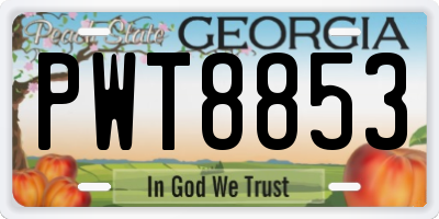 GA license plate PWT8853