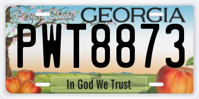 GA license plate PWT8873