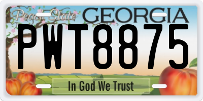 GA license plate PWT8875