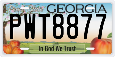 GA license plate PWT8877