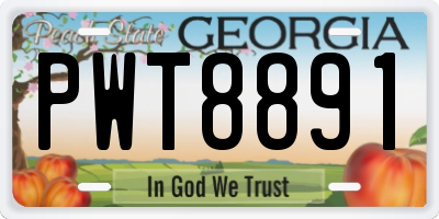 GA license plate PWT8891