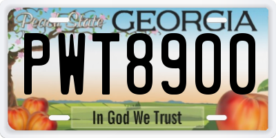 GA license plate PWT8900