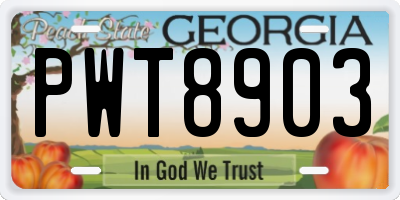 GA license plate PWT8903