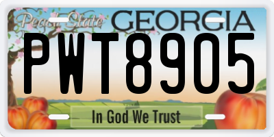 GA license plate PWT8905
