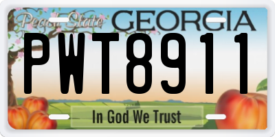 GA license plate PWT8911