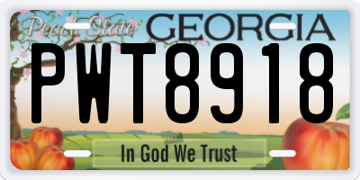 GA license plate PWT8918