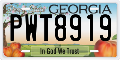 GA license plate PWT8919