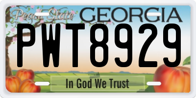 GA license plate PWT8929