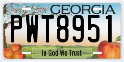 GA license plate PWT8951