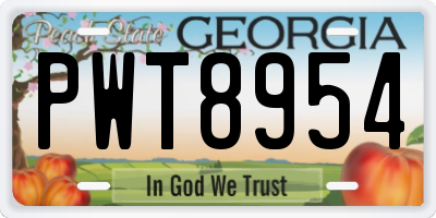 GA license plate PWT8954