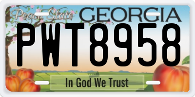 GA license plate PWT8958
