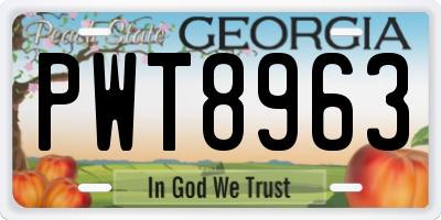 GA license plate PWT8963