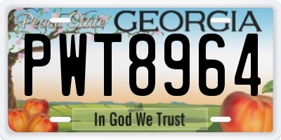 GA license plate PWT8964
