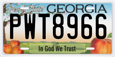 GA license plate PWT8966