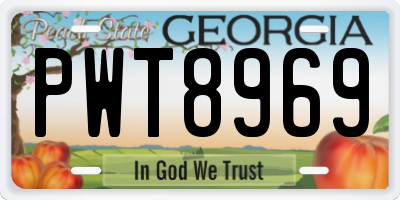 GA license plate PWT8969