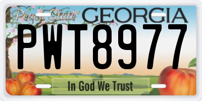 GA license plate PWT8977