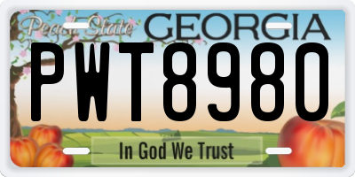 GA license plate PWT8980