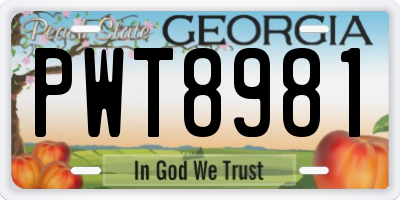 GA license plate PWT8981
