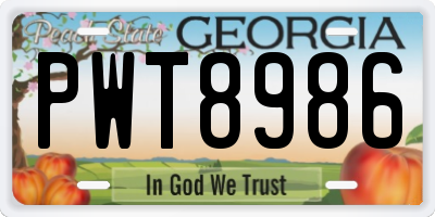 GA license plate PWT8986