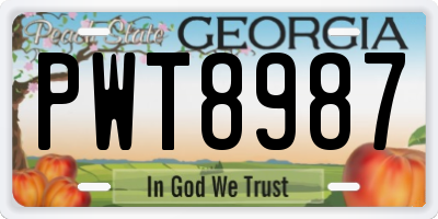 GA license plate PWT8987