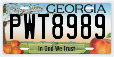 GA license plate PWT8989