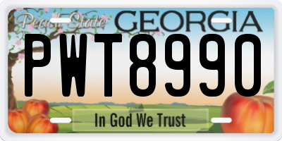 GA license plate PWT8990