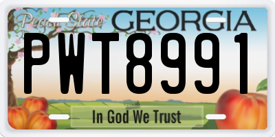 GA license plate PWT8991