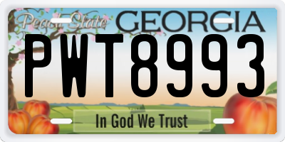 GA license plate PWT8993