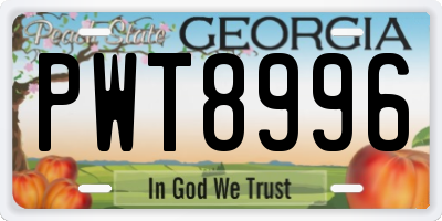 GA license plate PWT8996