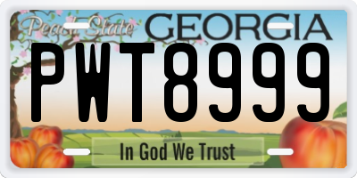 GA license plate PWT8999