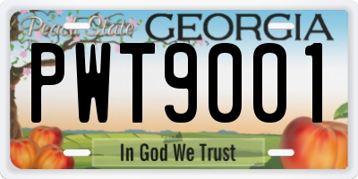 GA license plate PWT9001