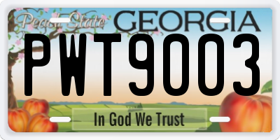 GA license plate PWT9003