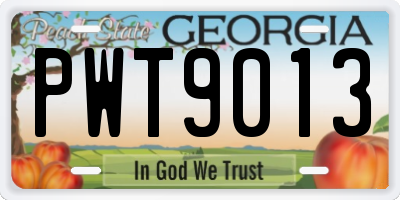 GA license plate PWT9013