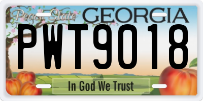 GA license plate PWT9018