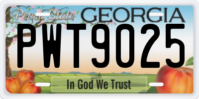 GA license plate PWT9025