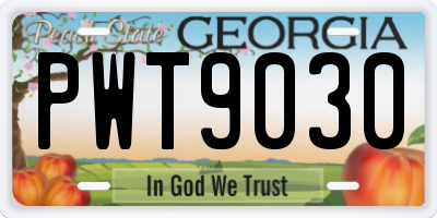 GA license plate PWT9030