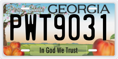 GA license plate PWT9031