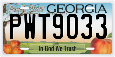 GA license plate PWT9033