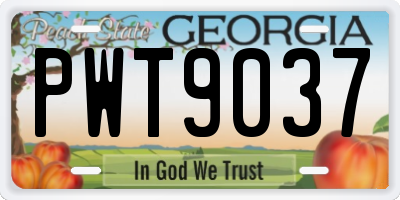 GA license plate PWT9037