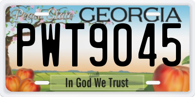 GA license plate PWT9045