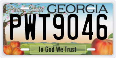 GA license plate PWT9046