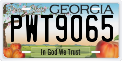 GA license plate PWT9065