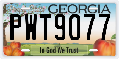 GA license plate PWT9077