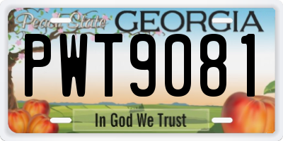 GA license plate PWT9081