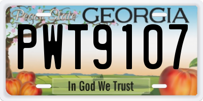GA license plate PWT9107