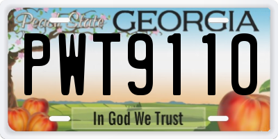 GA license plate PWT9110