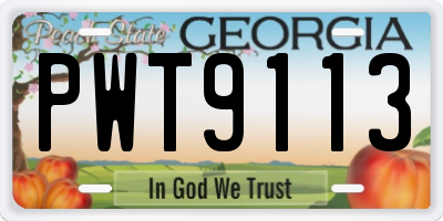 GA license plate PWT9113