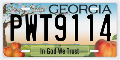 GA license plate PWT9114