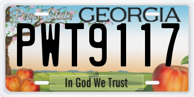 GA license plate PWT9117