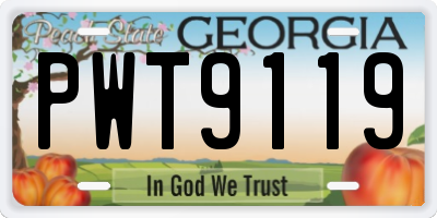 GA license plate PWT9119